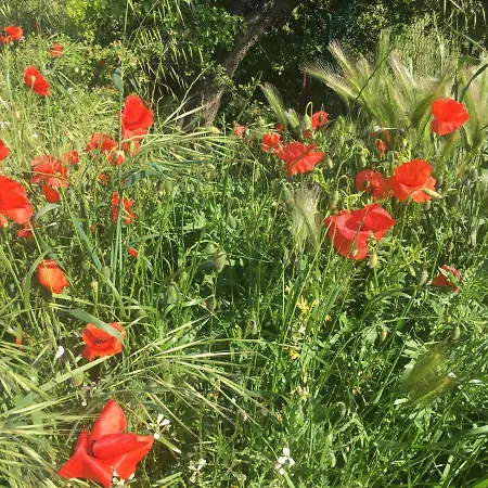 住宿加早餐酒店 Belle Avec Vue Dans Maison D'architecte